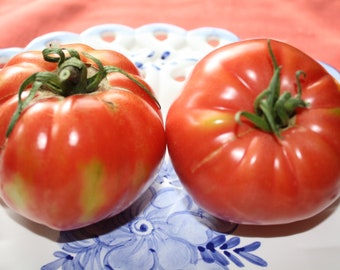 20 Heirloom Vegetable Seeds -Pink Brandywine Tomato