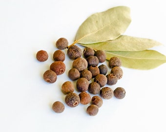10 Heirloom Allspice Seeds – Pimenta Dioica Evergreen