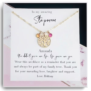Stiefmoeder cadeau - stiefmoeder van de bruid - stiefmoeder verjaardagscadeau - stiefmoeder huwelijkscadeau - stamboom ketting - goud, zilver Kerstmis