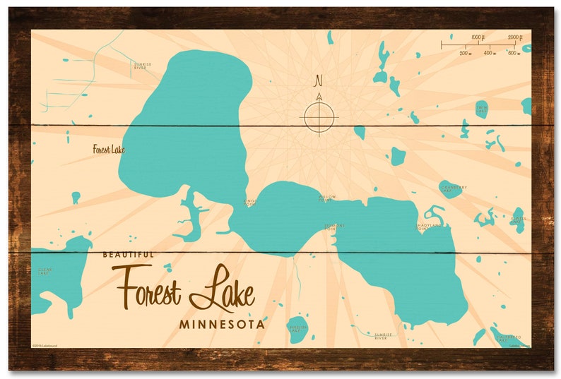 Forest Lake Minnesota Rustic Wood Sign Map Art | Etsy