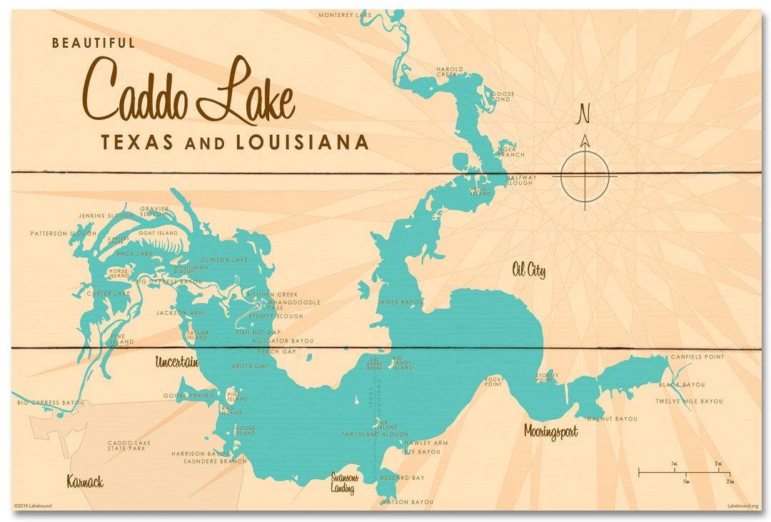 Caddo Lake Texas Louisiana Lake House Décor Cabin Art Etsy