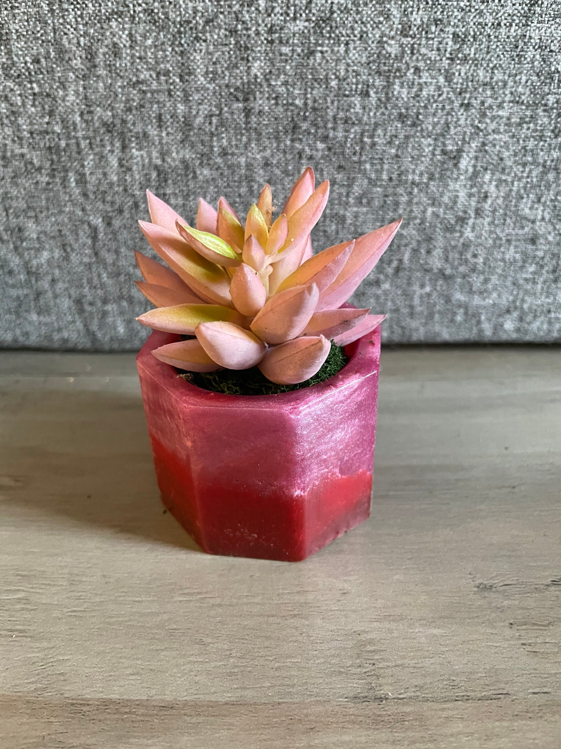 resin succulent planter