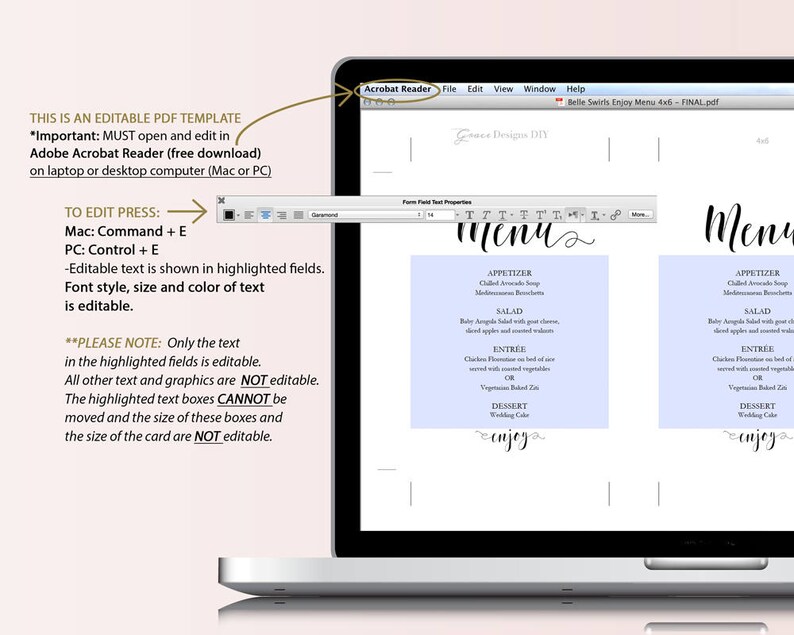 Belle Swirls Menu Printable Wedding Menu PDF Instant Digital Download DIY Template Editable PDF Belle Collection 4 x 6 GD0105 image 3