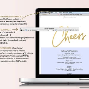 Gold Cheers Drinks Menu Printable DIY Template Instant download Editable PDF Wedding signature drinks 8x10 inches GD0301 image 3