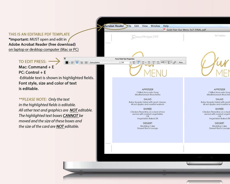 Gold Menu Download Printable Wedding Menu Calligraphy style script Instant Download DIY Template Editable PDF 5x7 inches GD0310 image 4