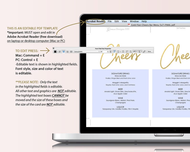 Gold Flair Cheers Menu Bar Menu Printable Wedding DIY Template Editable PDF Instant Download Cocktails 5x7 inches GD0302 image 3