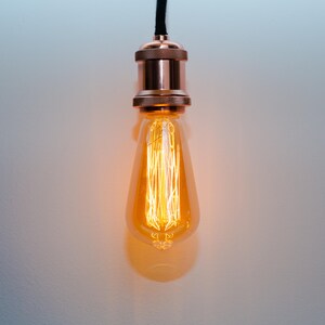 Vintage Edison Bulb image 3