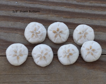 Handmade Sand Dollar Polymer Clay Buttons, 1/2" & 3/4"