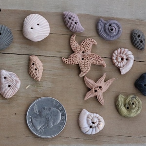 May include: Assortment of 13 ceramic buttons in various sea-life shapes, including seashells, starfish, and snails. The buttons are in shades of brown, pink, and gray. The buttons are approximately the size of a US quarter.