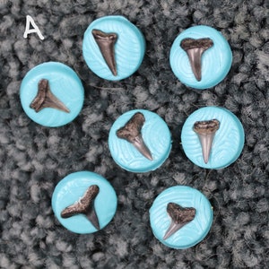 Unique Handmade Shark Tooth buttons, Polymer Clay Buttons with Genuine Shark teeth Embedded, beach buttons