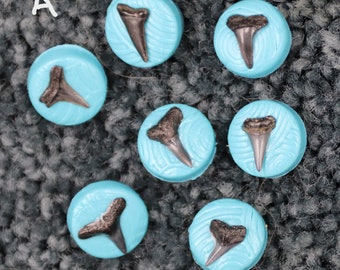 Unique Handmade Shark Tooth buttons, Polymer Clay Buttons with Genuine Shark teeth Embedded, beach buttons