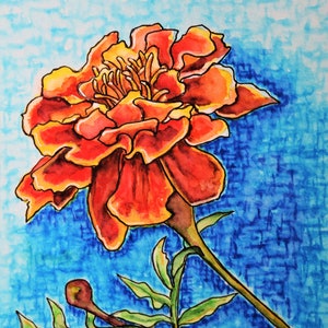 Marigold Flower Watercolor Print: October Birthday Floral Wall Art