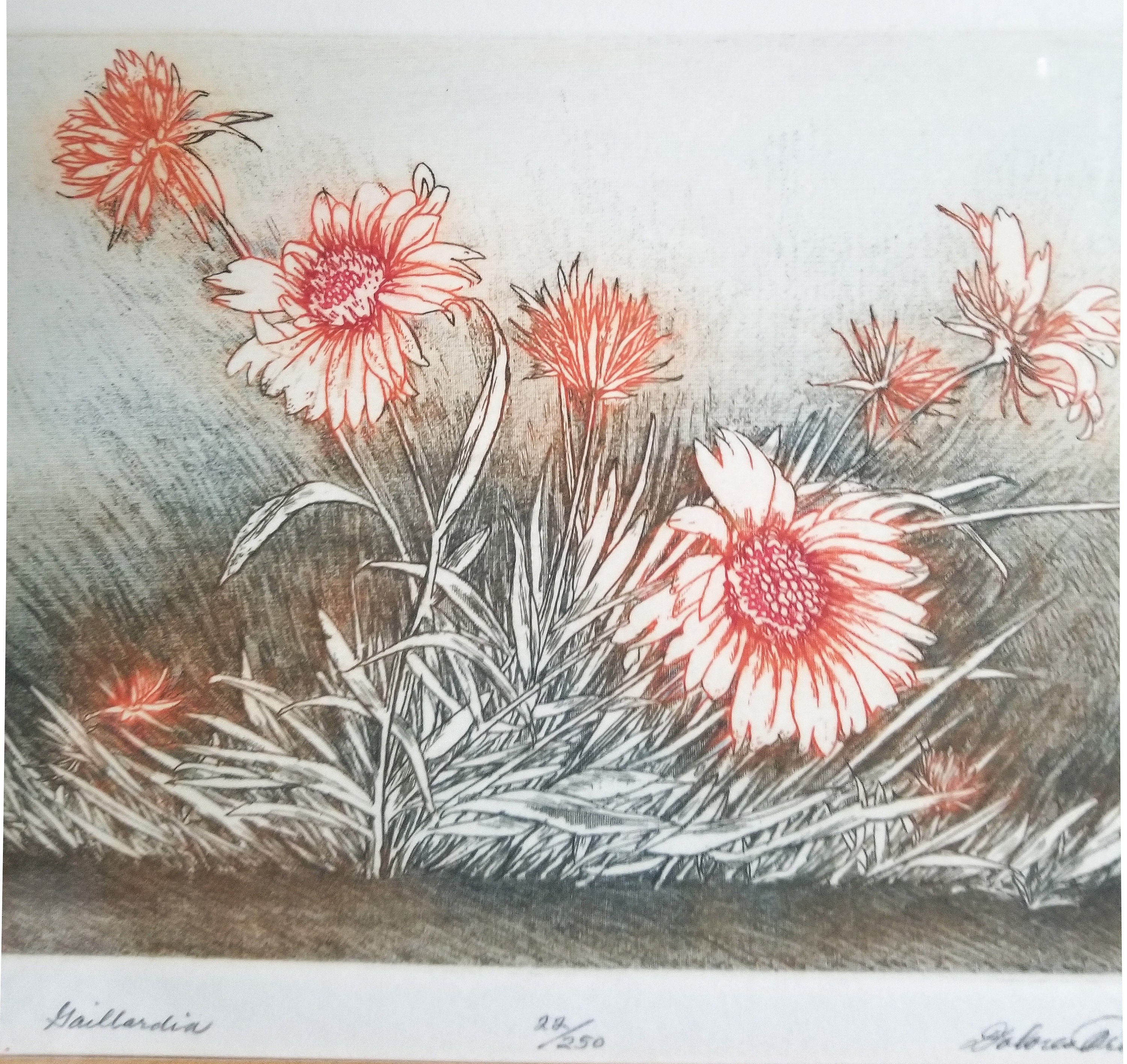 Etching Wall Art Print 16 x 19 Flower Print Flower Etsy