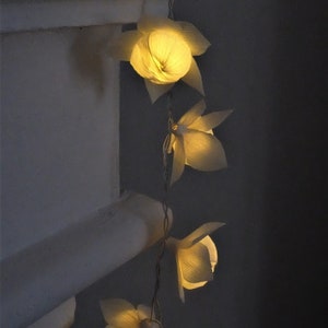 May include: A string of white paper flower lights with warm white LED bulbs. The lights are strung along a white cord and are hanging from a white wall.