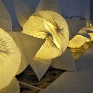 May include: A string of white paper lanterns with a warm, glowing light inside. The lanterns are arranged in a row and are illuminated from within, creating a soft, ambient glow.