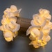 see more listings in the LIGHTS (Little Flowers) section