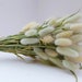 see more listings in the DRIED FLOWER BOUQUETS section