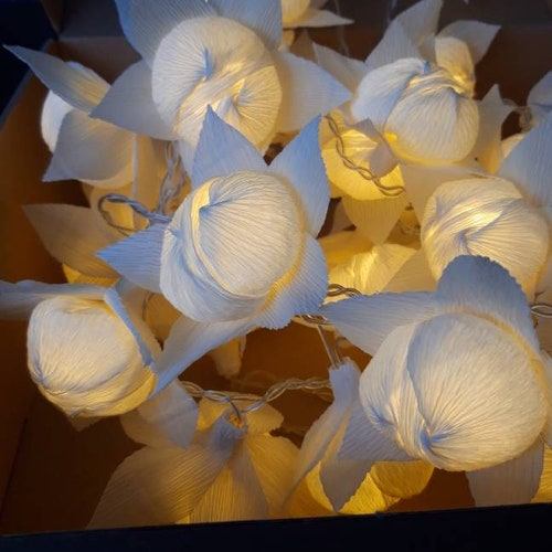 ÉTOILES ! Guirlandes lumineuses, Cordes de lumière, ampoules à piles, illuminations de mariage, guirlandes lumineuses, guirlandes lumineuses, guirlandes lumineuses, illuminations de Noël, 끈.