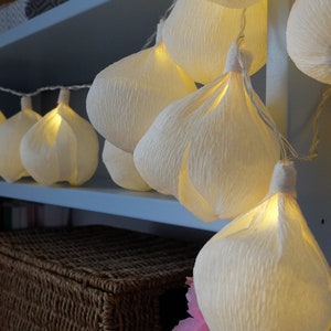 Luci corde, ghirlanda di luci, luci della batteria, Garland, Luci di nozze, luci stringa, luci di fiori, luci favola, guirlande lumineuse