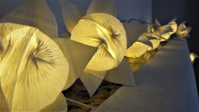 May include: A string of white paper lanterns with a warm, glowing light inside. The lanterns are arranged in a row and are illuminated from within, creating a soft, ambient glow.