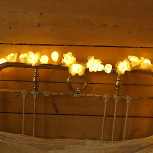 Luces guirnaldas, luces de cuerda, luces de boda, luces de hadas, luces de casa, lámparas, luces de boda rústicas, luces hechas a mano