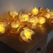 see more listings in the LIGHTS (Large Flowers) section