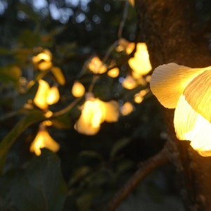 Lights garland, String lights, Fairy lights, Wedding lights, Home lights, Garden lights, Battery lights, Rustic wedding decor.