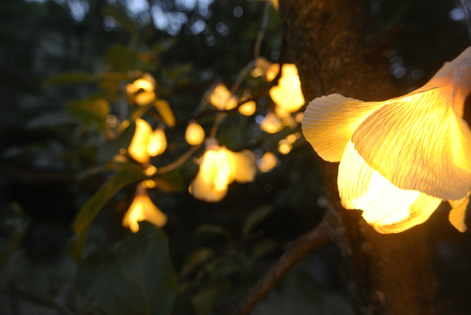 Lights garland, String lights, Fairy lights, Wedding lights, Home lights, Garden lights, Battery lights, Rustic wedding decor.