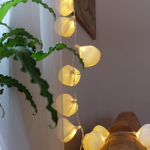 Luci a corda, ghirlande di luci, luci a batteria, ghirlande, luci per matrimoni, luci a corda, luci floreali, luci fatate, guirlande lumineuse