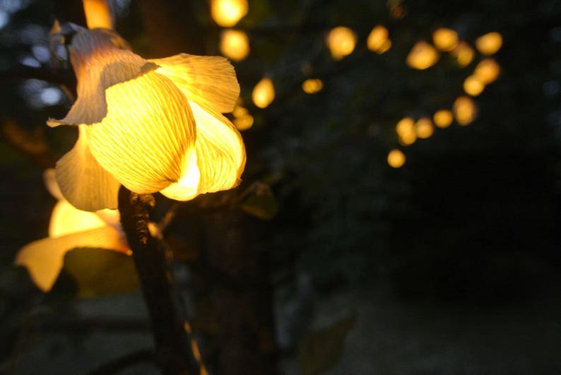 Lights garland, String lights, Fairy lights, Wedding lights, Home lights, Garden lights, Battery lights, Rustic wedding decor. image 3