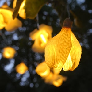 Lights garland, String lights, Fairy lights, Wedding lights, Home lights, Garden lights, Battery lights, Rustic wedding decor. image 1