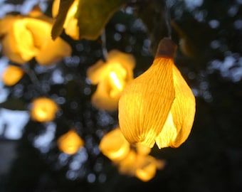 Lichtergirlande, Lichterketten, Feenlichter, Hochzeitslichter, Hausleuchten, Gartenleuchten, Batterieleuchten, rustikales Hochzeitsdekor.