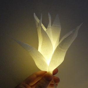 HANDGEMAAKTe string lichten, lichten slinger, bloemen slinger, Bruiloft verlichting, Slaapkamer verlichting, Fairy lichten, Magnolia, Rozen.