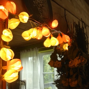 Lichtergirlande, Lichterkette, 20 LED-Birnen, Hauslichter, Badezimmerlichter, Babyzimmerlichter, Batterielichter, Feengarten.