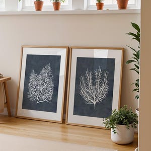 Indigo kust muurkunst set van 2, strandhuis muurdecoratie, indigo zeekoraal print, strand kust poster