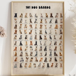 Dog Breeds Poster: Vintage Style Animal Infographic (Digital Download)