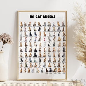 Póster de razas de gatos, lámina de arte mural de gatos, regalo para amantes de los gatos, lámina de gatos para habitación infantil, infografías de razas de gatos