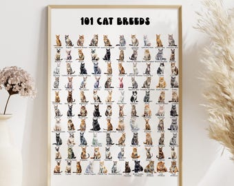 Póster de razas de gatos, lámina de arte mural de gatos, regalo para amantes de los gatos, lámina de gatos para habitación infantil, infografías de razas de gatos