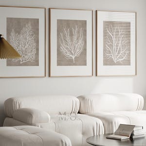 Beige Coral Wall Art, Boho Coastal Print Set of 3, Beach Life Poster, Taupe Coral Prints