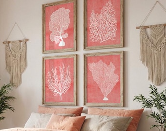 Warm Coral Wall Art: Sea Life Prints, Beach House Art Set of 4, Organic Coastal Decor (Digital Download)