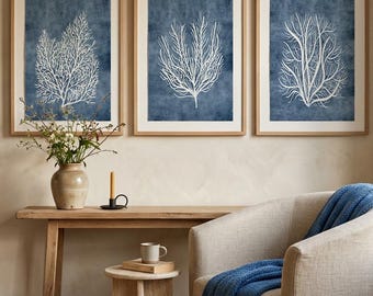 May include: Three framed wall art prints featuring white coral illustrations on a textured dark blue background. Each print is encased in a light wood frame. The text IYI ART STUDIO is visible at the bottom center of the image.