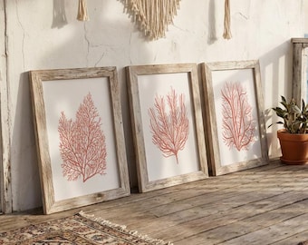 Coral Color Poster Set of 3: Minimalist Coastal Wall Art, Modern Beach Home Decor