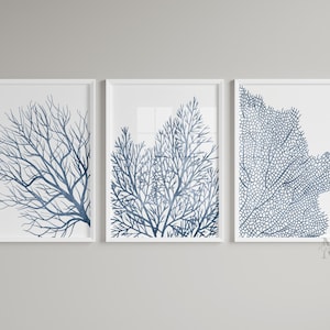 Arte de pared de coral azul, juego de 3 impresiones costeras, decoración de pared para baño, impresiones de arte náutico azul, impresiones de vida oceánica