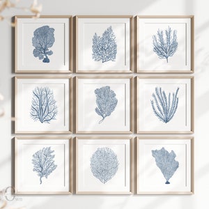 Square Coastal Prints, Blue Coral Wall Art Set of 9, Square Gallery Wall, Sea Coral Artwork