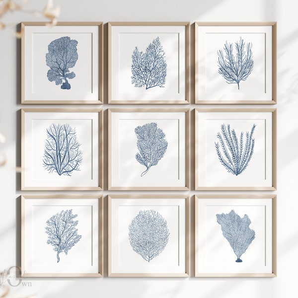 Blue Coral Prints Set of 9, Square Coastal Gallery Wall, Coral Reef Art Poster, Blue White Coastal Wall Art