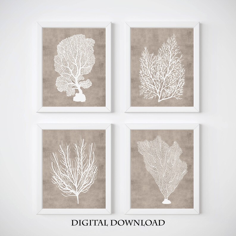 Sea Coral Prints Set of 4 Wall Art Beach Home Decor Taupe Etsy