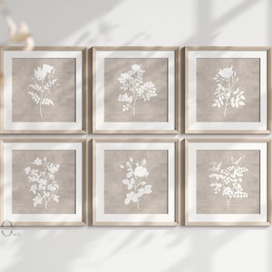 Square Wall Art Set of 6, Neutral Botanical Artwork, Modern Flower Prints, Beige Living Room Poster
