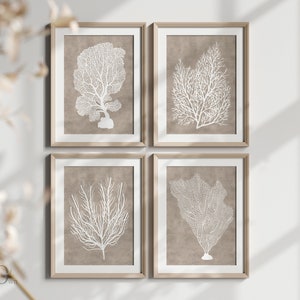 Beach Coastal Wall Art, Neutral Home Decor Printable, Sea Coral Artwork, Beige Living Room Poster