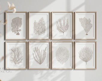 Beige Coastal Wall Art, Print Set of 8 Gallery Wall Art, Neutral Rustic Beach Wall Decor, Pastel Sea Coral Printable