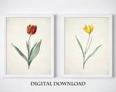Tulip Flowers, Wall Art Set of 2, Vintage Flowers Prints, Living Room Prints